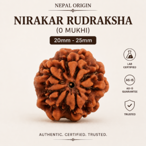 Nepal Origin Nirakar Rudraksha (0 Mukhi) - 20mm - 25mm