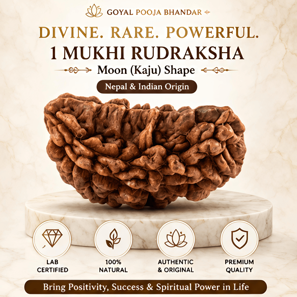1 Mukhi Rudraksha Moon (Kaju) Shape – Nepal & Indian Origin