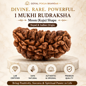 1 Mukhi Rudraksha Moon (Kaju) Shape – Nepal & Indian Origin