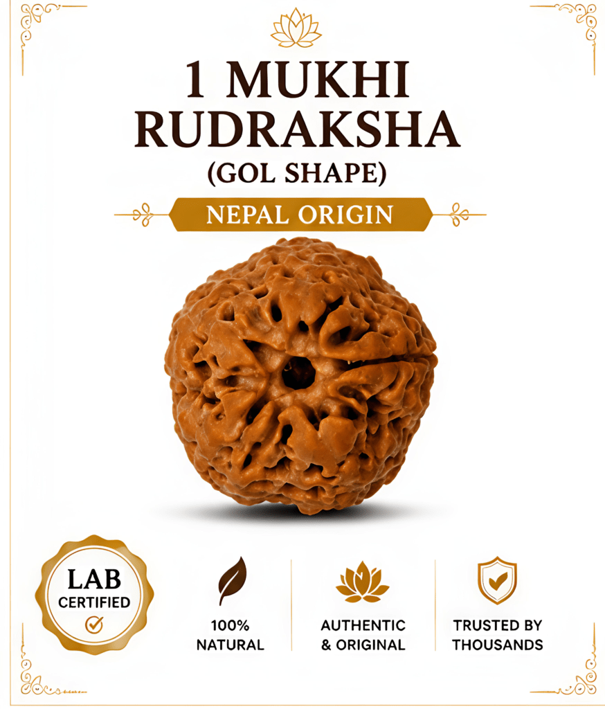 buy online 1 Mukhi Rudraksha (Gol) Shape – nepal Origin