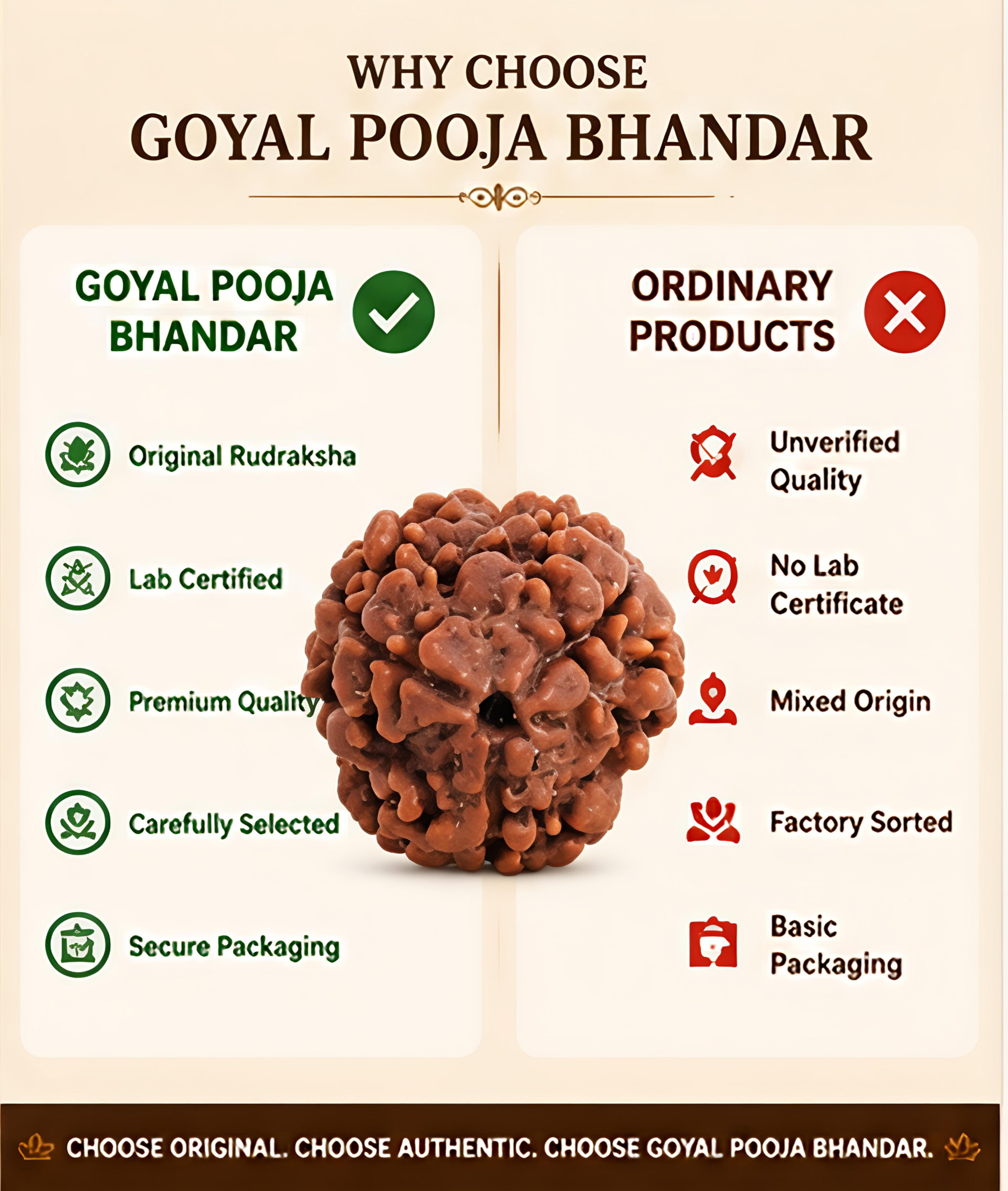 Nepal Origin 3 Mukhi Rudraksha - 20mm-25mm - Image 5