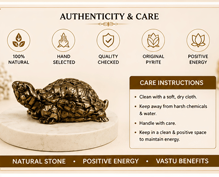 Vastu Pyrite Tortoise (Kachhua) - Image 4