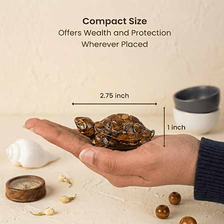 Vastu Tiger Eye Tortoise (Kachhua) - Image 4