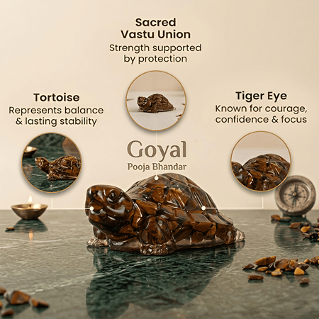 Vastu Tiger Eye Tortoise (Kachhua) - Image 2
