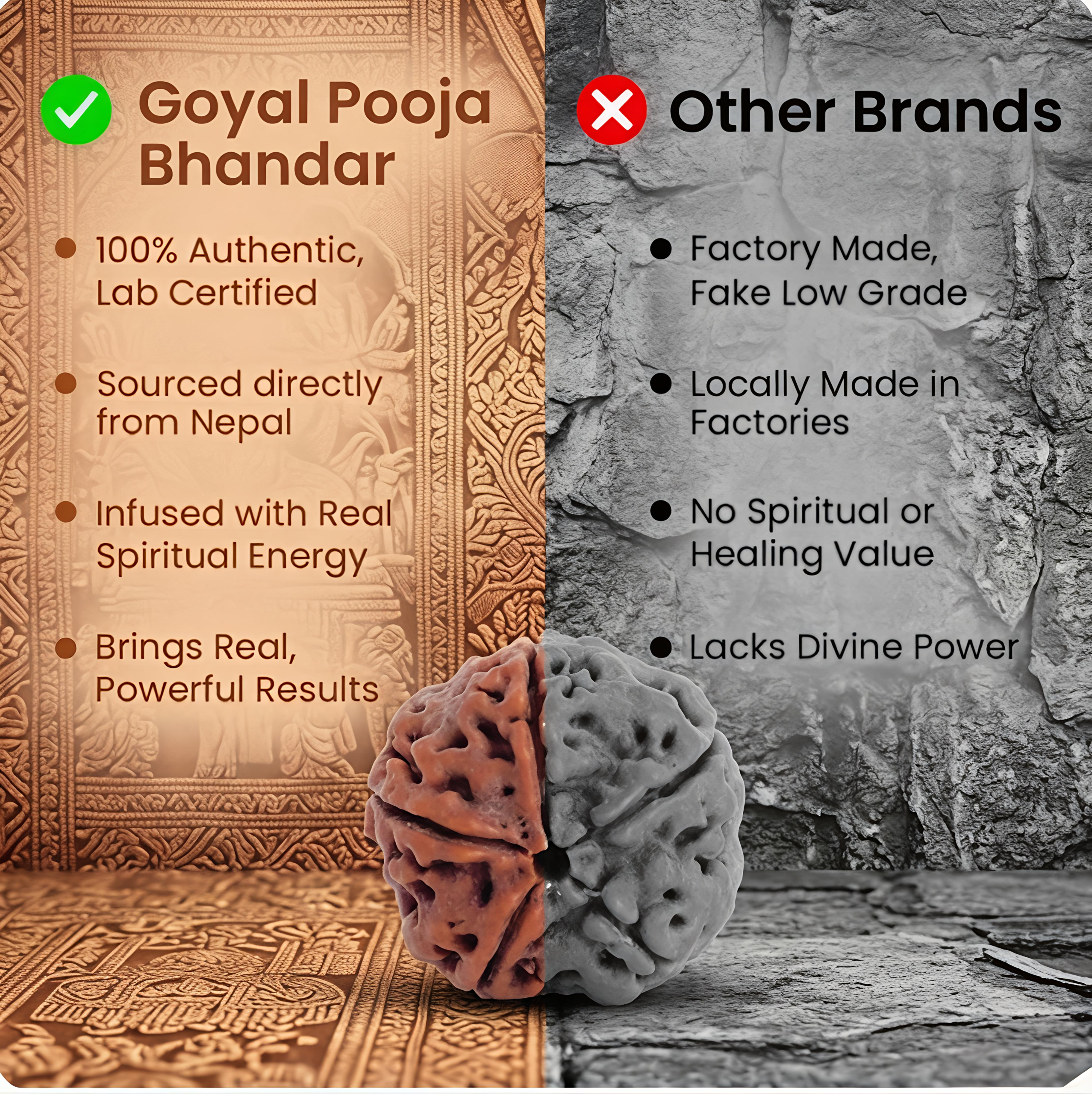 Nepal Origin 6 Mukhi Rudraksha - 20mm to 25mm - Image 5