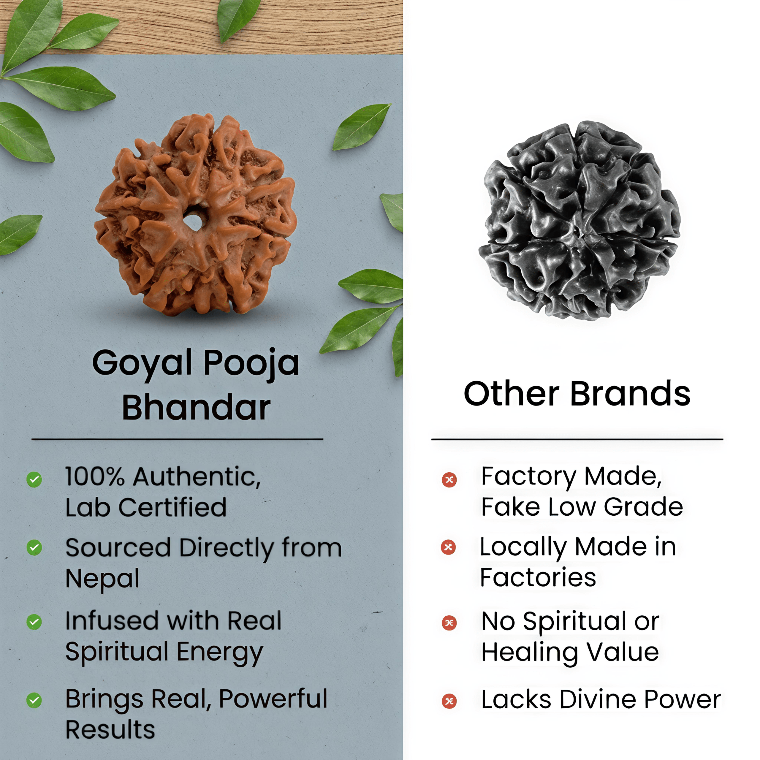 Nepal Origin 7 Mukhi Rudraksha – 20mm to 25mm - Image 5