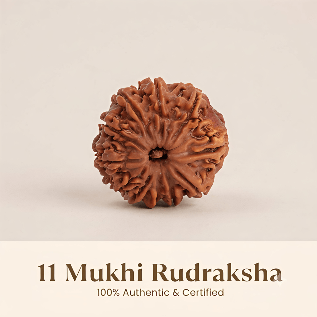 Original Nepal Origin 11 Mukhi Rudraksha, approximately 20mm to 25mm in size. Traditionally associated with Lord Hanuman and believed to support courage, confidence, focus and spiritual strength.