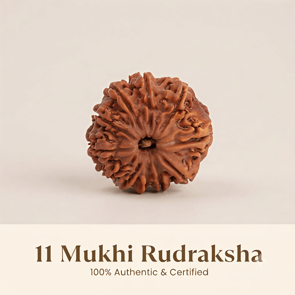 Original Nepal Origin 11 Mukhi Rudraksha, approximately 20mm to 25mm in size. Traditionally associated with Lord Hanuman and believed to support courage, confidence, focus and spiritual strength.