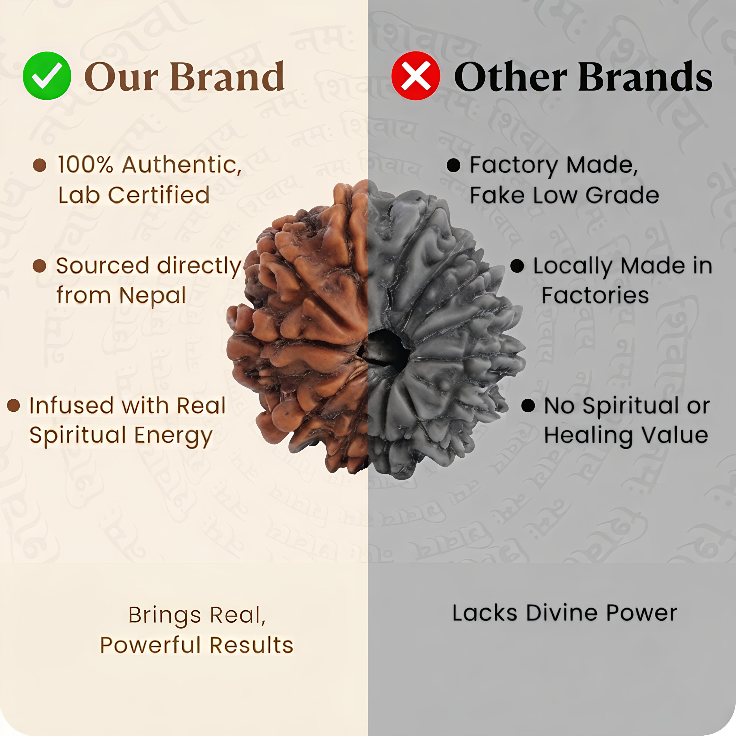 Nepal Origin 13 Mukhi Rudraksha – 20mm to 25mm - Image 3